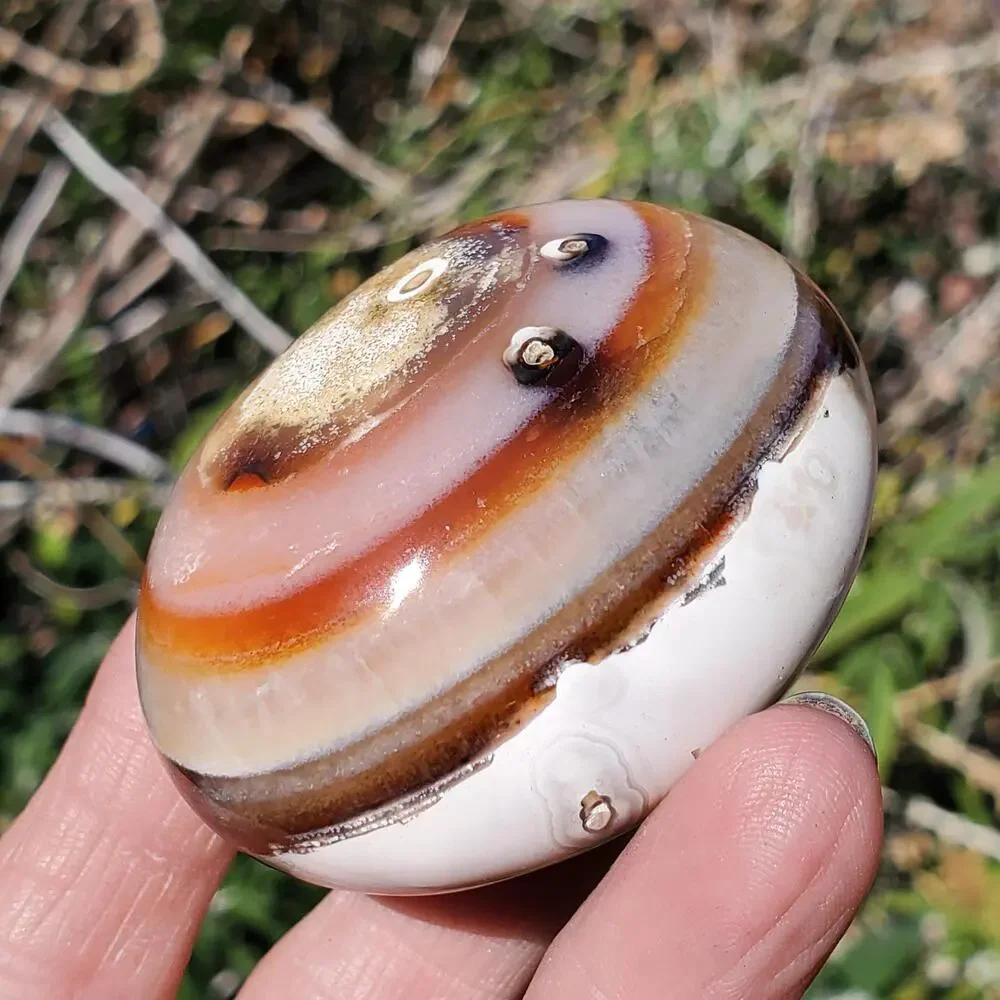 Eyes on Back Orca Agate Carnelian Stone Crystal UNIQUE Palmstone 180 grams